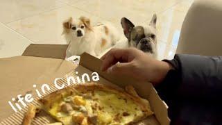 Living in China: A 30-Something's January Vlog - Haikou trip , Life with Dogs, and Simple Joys