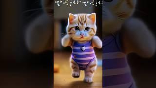 cat dance 🩰 #cat #catvideos #catlover #shortvideo #shortsfeed #shortsviral #shorts #short