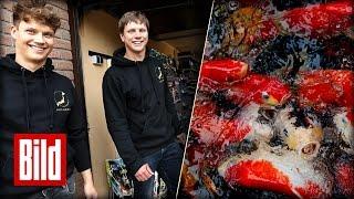 Koi-Karpfen Paradies - Aus Hobby wird Vollzeitjob für die ganze Familie