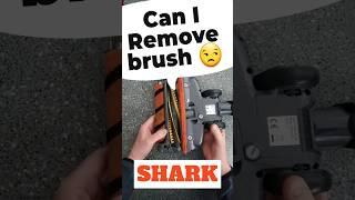 Should You Remove The Brush From Your Shark Vacuum?