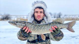 ПОПАЛИ на МОНСТРОВ! Это ЖЕСТЬ!!! Крокодилы РВУТ леску и ломают жерлицы!