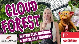 Explore Singapore's Cloud Forest: Orchids, Rare Plants & the World’s 2nd-Largest Indoor Waterfall