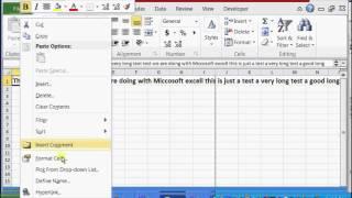 How to Fit Long Text in Excel : Microsoft Excel Help