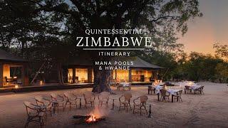 A Quintessential Zimbabwe Safari Itinerary