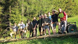 Maibaumaufstellen der Brauchtumsgruppe St.Koloman | Grundlbichlalm | Traditionelle Baumfällung