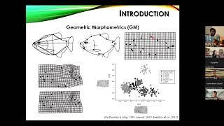 BioacousTalks: The shape of sound (SoundShape R package) by Dr. Pedro Rocha