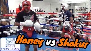Devin Haney vs Shakur Stevenson sparring breakdown