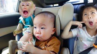 Monkey Pupu and Nguyen had problems when visiting their grandfather
