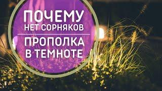 Почему у меня нет сорняков. ПЕРЕКОПКА В ТЕМНОТЕ. Необычный способ борьбы с сорняками.