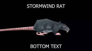 STORMWIND RAT