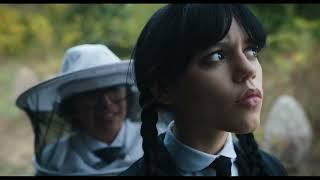 Wednesday Addams hobbies and extracurricular activities  Jenna Ortega