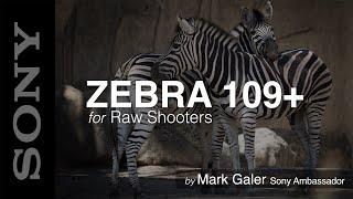 Zebra 109+ for Sony Raw Photographers