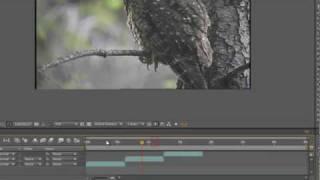 After Effects - Extending the Timeline