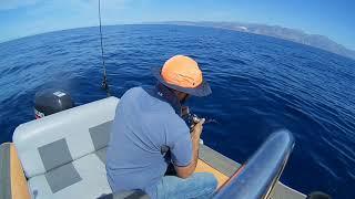 Fiiish Black Minnow - White Grouper