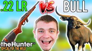 22LR vs Giant Bull