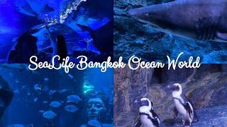 Aquarium Bangkok2022 sea life bangkok ocean world