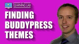 BuddyPress Themes Are Easy To Find The WordPress Repository