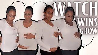 TWIN PREGNANCY TRANSFORMATION WEEK BY WEEK *belly growth with twins*