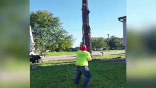 Funny tree removal fail