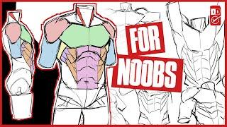 HOW TO DRAW MUSCLES FOR BEGINNERS (MALE TORSO)