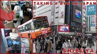 How to take a bus in Japan | Going to Shibuya crossing