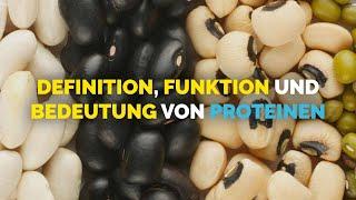 Definition, Funktion und Bedeutung von Proteinen | OTL Ernährungsberater-Ausbildung