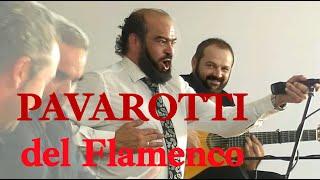 Sensacional! "Pavarotti del Flamenco", Miguel de Tena. Fandangos por bulerías, estilo Manuel Vallejo