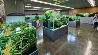 FULL TOUR OF THE ADA NATURE AQUARIUM GALLERY IN JAPAN!