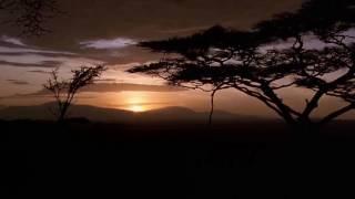 [10 Hours] African Savannah Sunset - Video & Soundscape [1080HD] SlowTV