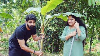 ഞങ്ങളുടെ നാട്ടിലെ വാഴ കൃഷി  | Vazha Krishi | Banana Cultivation | Amritha Prasanth