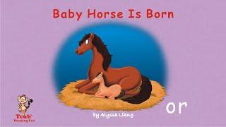 Reading Fun (letters "or"): "Baby Horse Is Born" by Alyssa Liang