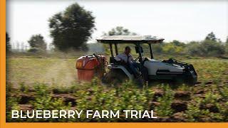 Monarch Tractor Blueberry Farming Trial