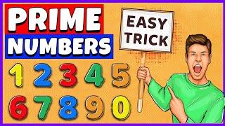 Prime Numbers | Prime Numbers from 1 to 100