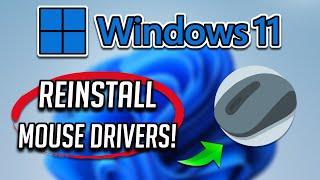 How to Update/Reinstall Mouse Drivers on a Windows 11/10 PC