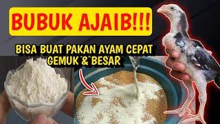 BUBUK AJAIB!!! BISA BUAT PAKAN AYAM CEPAT GEMUK DAN BESAR