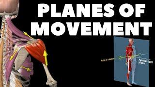 Planes of movement