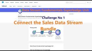 Data Stream Fundamentals Superbadge Unit || Connect the Sales Data Stream Bundle|| Challenge No 1