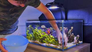 The END of my Aquariums: Breaking Down the Fish Room