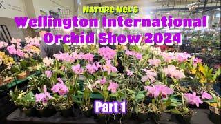 WELLINGTON INTERNATIONAL ORCHID SHOW 2024 part 1. First international orchid show in WPB, Florida