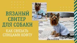 Вязание для собак: как связать свитер для йорка, кофта для маленькой собаки спицами (+схема вязания)