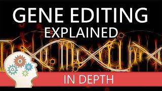 GENE EDITING EXPLAINED! - A comprehensive guide to the principles, methods and technologies!