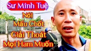 Sư Minh Tuệ Nói Mấu Chốt Để Giải Thoát Mọi Ham Muốn Mới Có Sự An Vui#tuannet