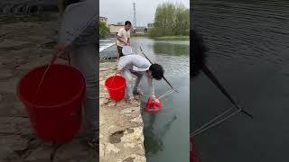 Chinese most funny video | #shorts #shortsvideo