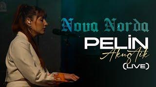 Nova Norda - Pelin | Akustik (Live)