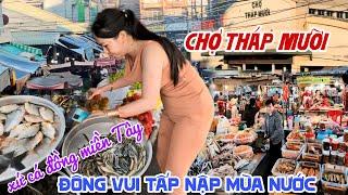 Quá Khủng CÁ CHẠCH CÁ HEO Mùa Nước Đổ Bộ XỨ CÁ ĐỒNG CHỢ THÁP MƯỜI ĐỒNG THÁP - ĐÔNG VUI TẤP NẬP KPVL