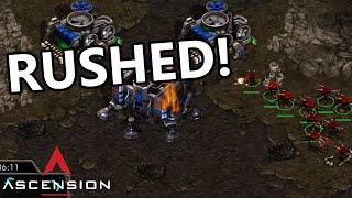 Insane Zerg vs. Terran Strategies - Ascension