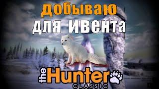 Добываю 20 песцов во время ивента The Hunter Classic