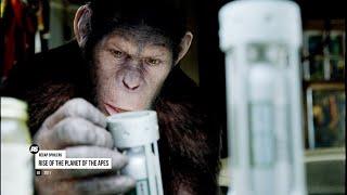 Movie Recap Rise of the Planet of the Apes