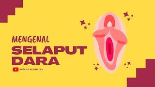 Apa itu Selaput Dara? | Mengenal Selaput Dara - Mitos dan Fakta Selaput Dara Pada Perempuan