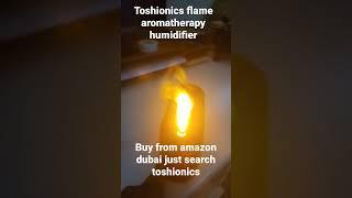 Toshionics flame  aromatherapy humidier